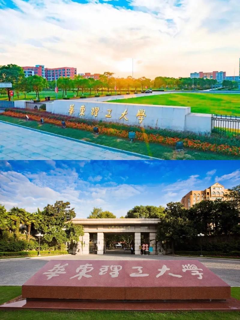 华东理工职业发展部有何新举措？-第2张图片-指南针培训网