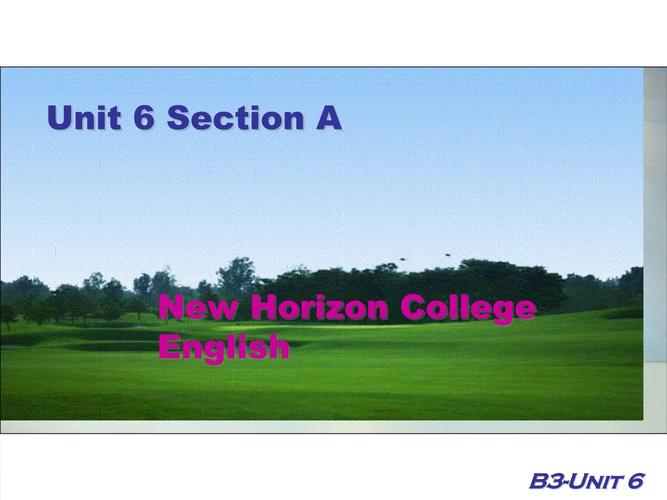 新视野大学英语课程PPT有何教学亮点?-第1张图片-指南针培训网 新视野大学英语课程PPT有何教学亮点?-第1张图片-指南针培训网