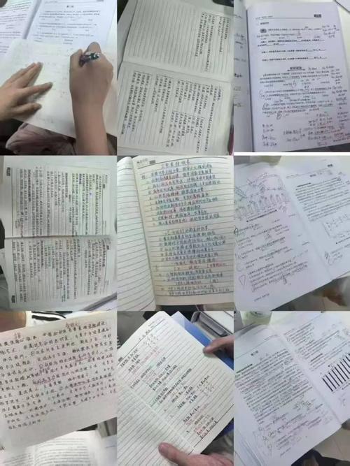 考公务员自学还是报班,哪个更高效?-第1张图片-指南针培训网 考公务员自学还是报班,哪个更高效?-第1张图片-指南针培训网