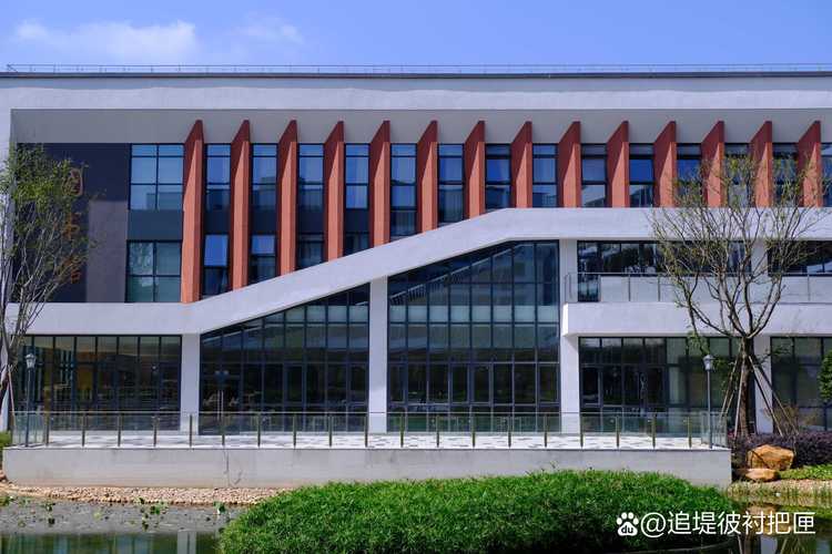 学前教育五年制大专，优势与就业前景如何？-第2张图片-指南针培训网