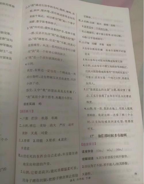 六年级语文下册新课程答案哪里有?-第2张图片-指南针培训网 六年级语文下册新课程答案哪里有?-第2张图片-指南针培训网