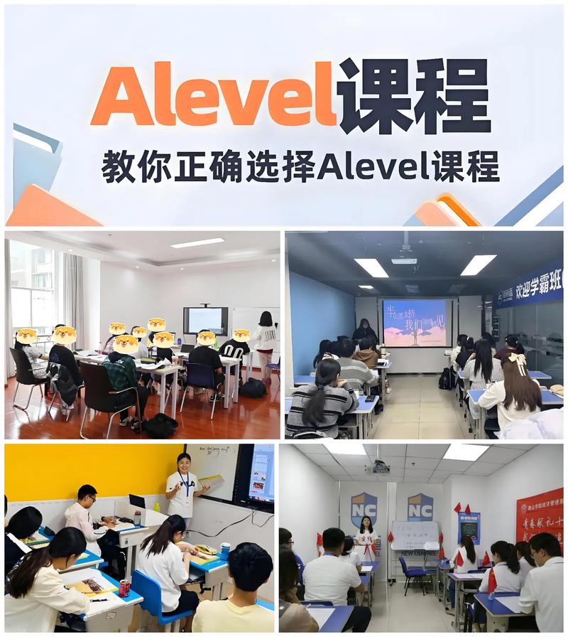 alevel课程培训机构怎么选?-第1张图片-指南针培训网 alevel课程培训机构怎么选?-第1张图片-指南针培训网