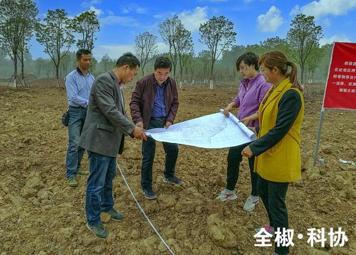 全椒林业编制考试课程怎么选？-第1张图片-指南针培训网