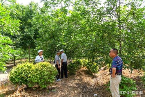 全椒林业编制考试课程怎么选？-第3张图片-指南针培训网