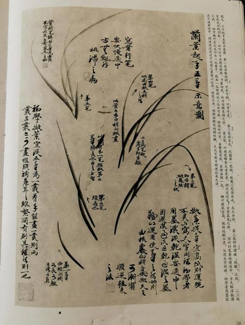 自学水墨画,哪个教程才是最好的?-第2张图片-指南针培训网 自学水墨画,哪个教程才是最好的?-第2张图片-指南针培训网