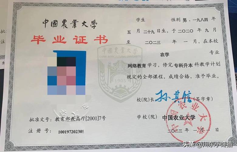 山东自考学历认证怎么办理？-第2张图片-指南针培训网