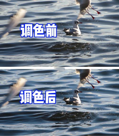 摄影后期制作怎么自学-第3张图片-指南针培训网