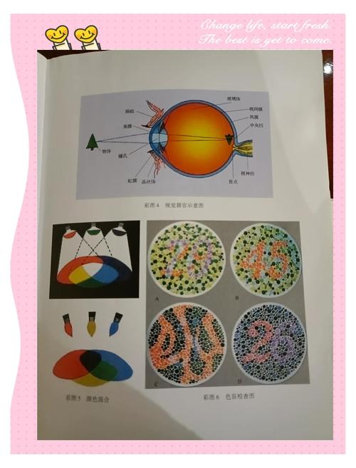 学前儿童形状知觉发展有何关键特征？-第2张图片-指南针培训网