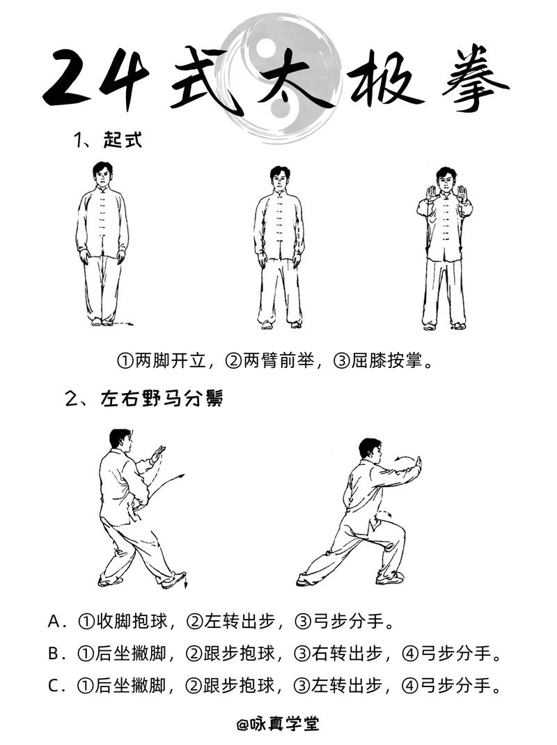 打太极拳自学教程视频-第1张图片-指南针培训网