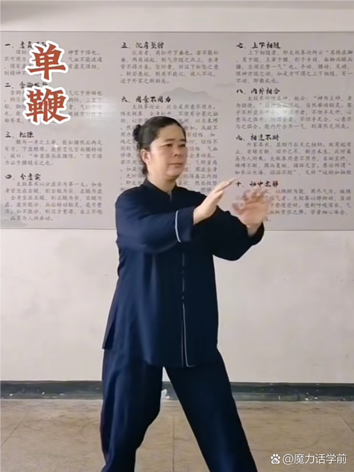 打太极拳自学教程视频-第2张图片-指南针培训网