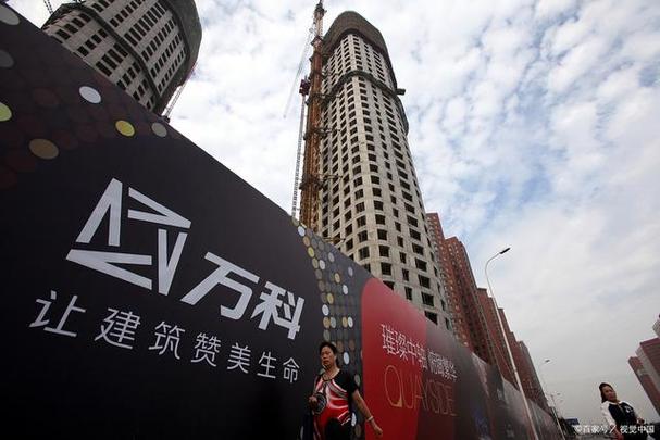 万科的职业顾问发展前景-第2张图片-指南针培训网