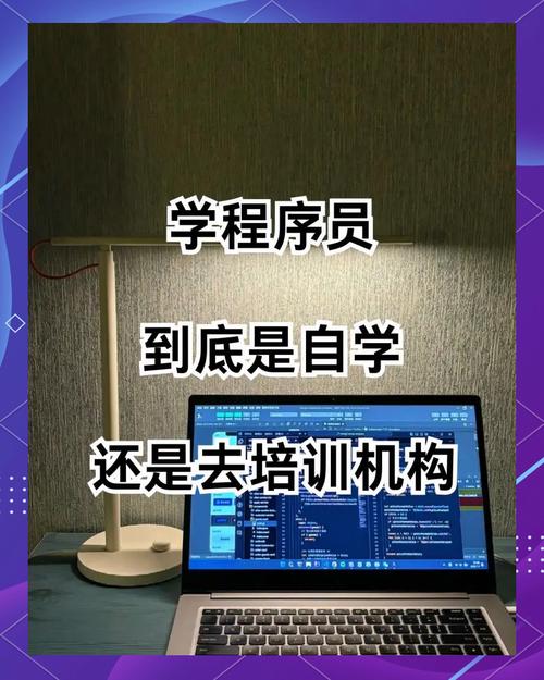 程序员是自学还是培训-第2张图片-指南针培训网