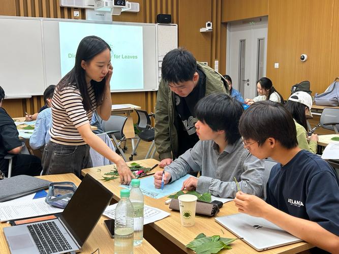 highscope课程-第3张图片-指南针培训网