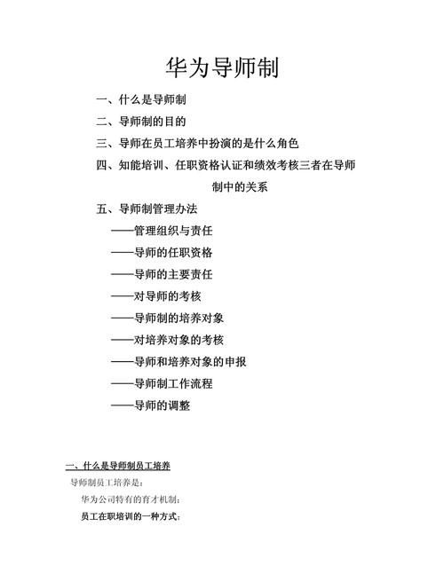 职业导师制在中国的发展-第2张图片-指南针培训网