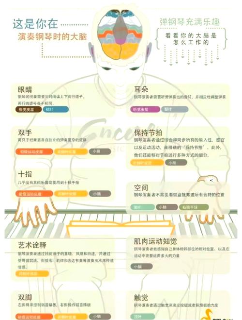 孩子学钢琴能自学吗?-第1张图片-指南针培训网 孩子学钢琴能自学吗?-第1张图片-指南针培训网
