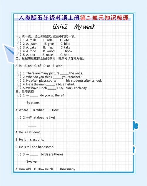 小学英语自学视频教程怎么选？-第3张图片-指南针培训网