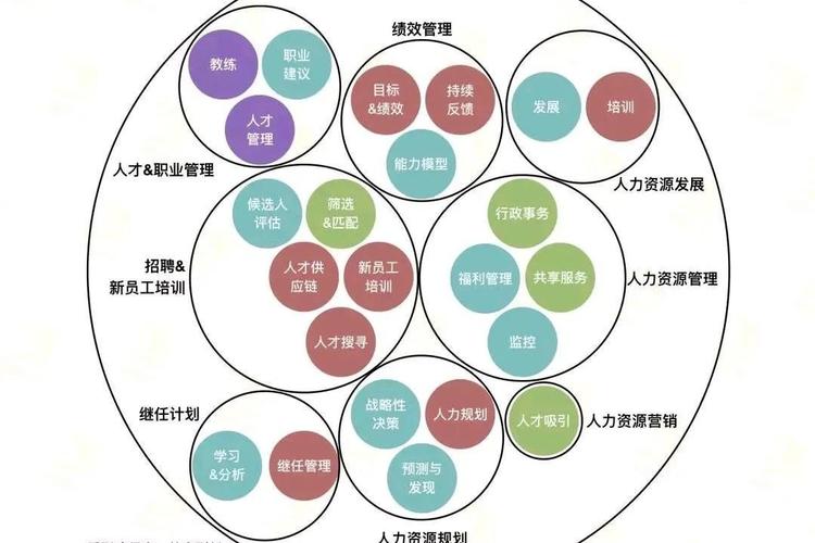 人力资源岗职业发展规划-第3张图片-指南针培训网