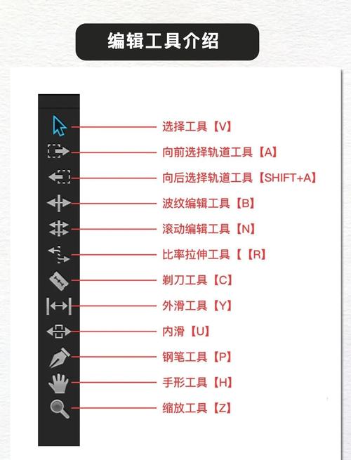 自学精通pr多少时间-第1张图片-指南针培训网