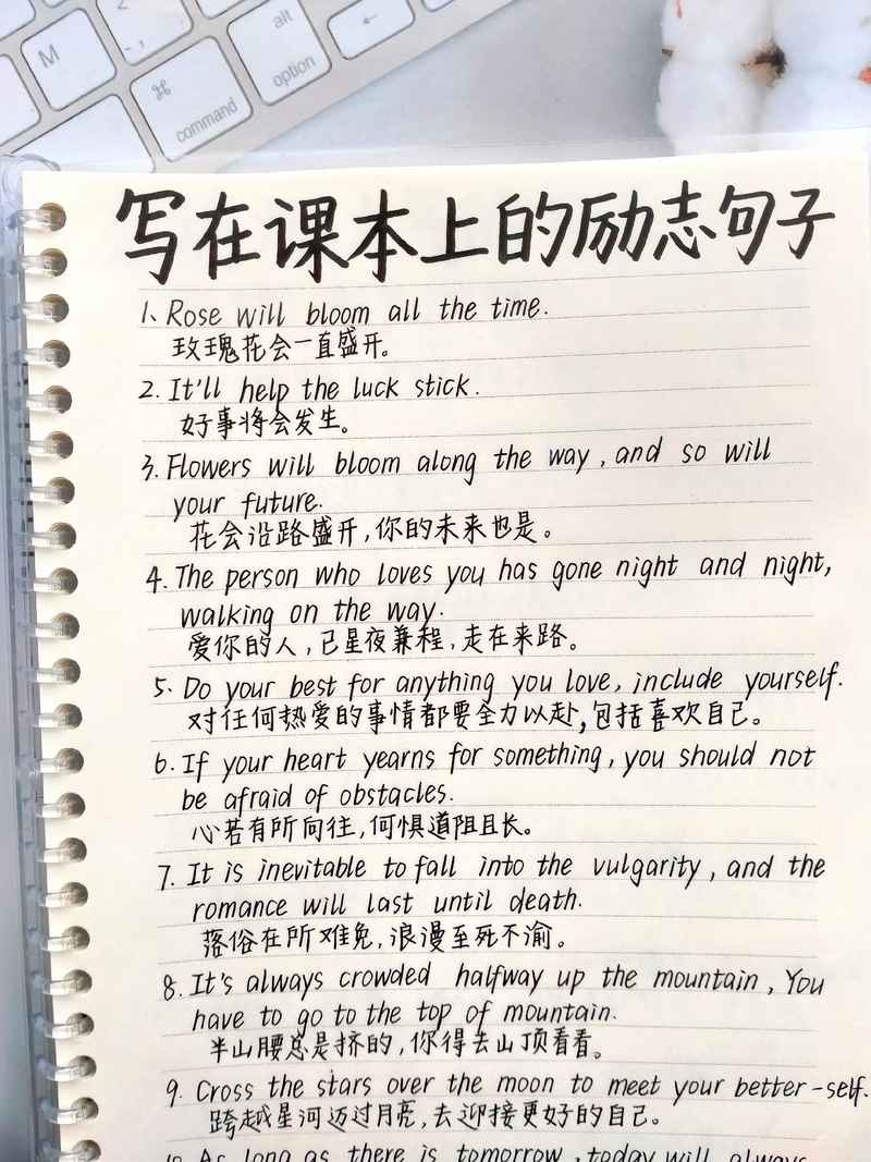 自学英语真能成功吗？-第3张图片-指南针培训网