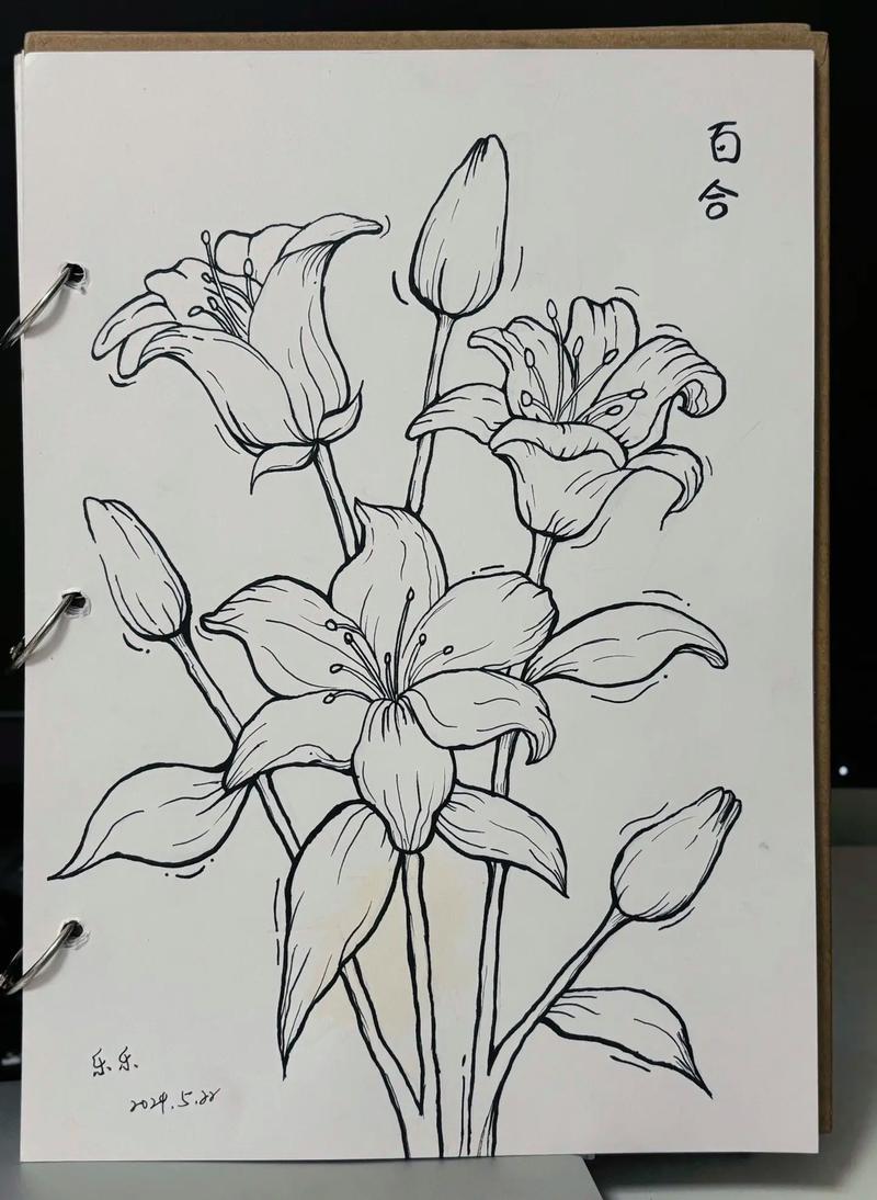 自学绘画从什么开始好-第1张图片-指南针培训网