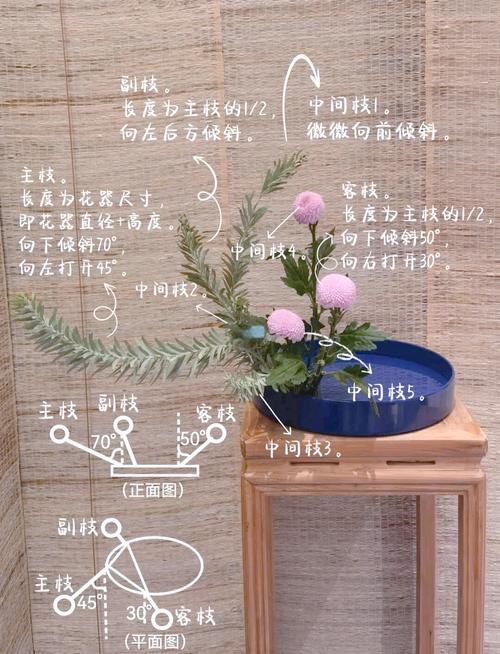 自学插花教程视频教程-第2张图片-指南针培训网