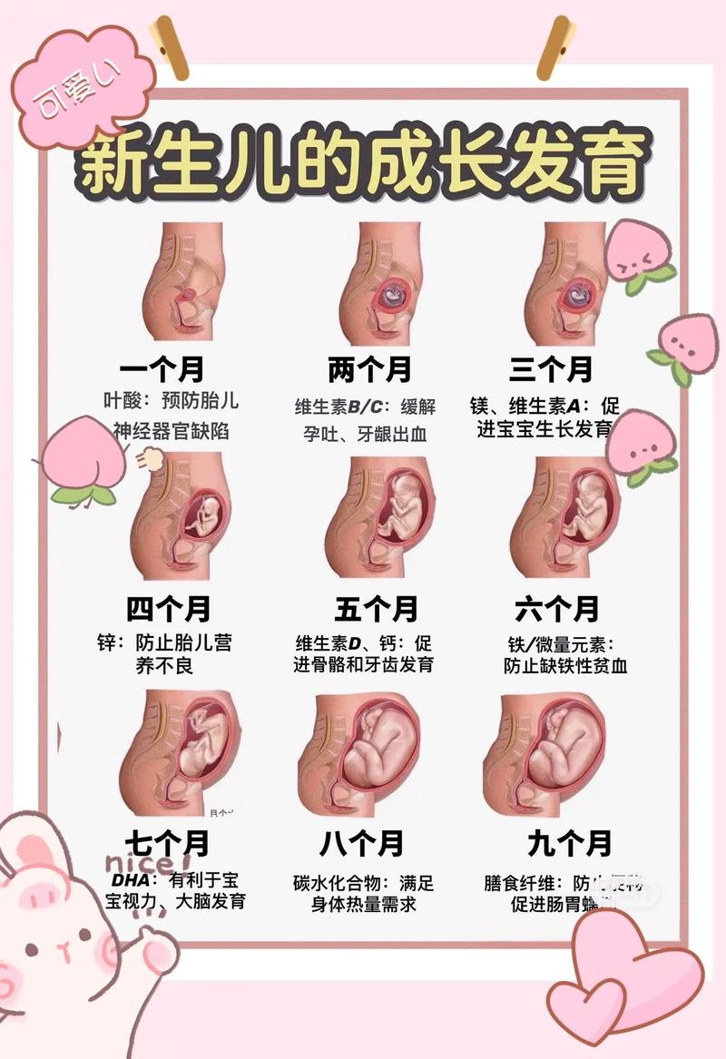 学前儿童生长发育有哪些规律？-第3张图片-指南针培训网