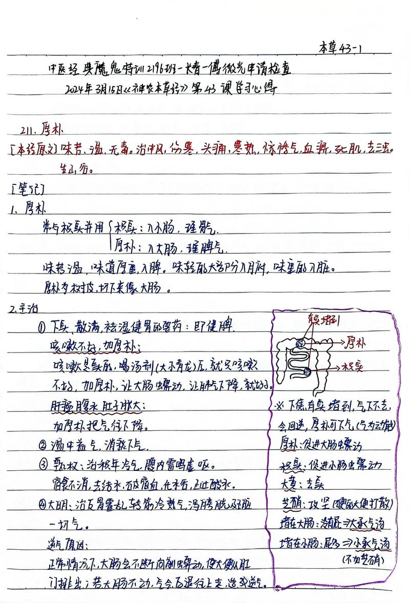 自学笔记怎么做才高效？-第3张图片-指南针培训网