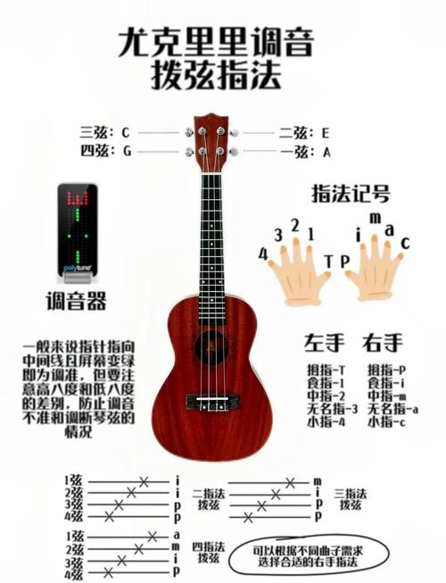 自学尤克里里多久能学会？-第3张图片-指南针培训网