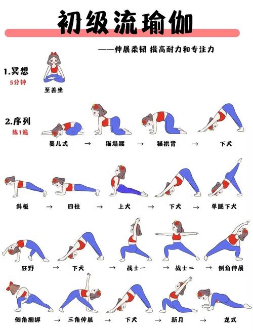 自学初级瑜伽视频教程，新手如何有效入门？-第2张图片-指南针培训网
