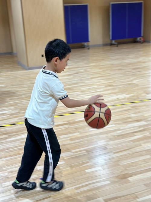 学前儿童体育0392的核心内容是什么？-第2张图片-指南针培训网