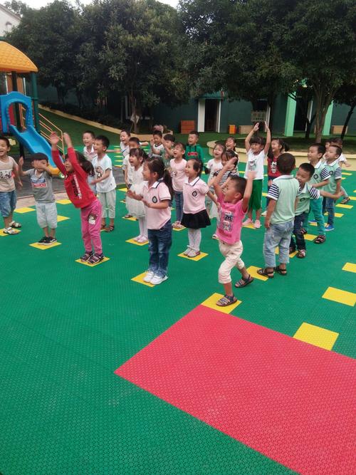 学前儿童体育0392的核心内容是什么？-第1张图片-指南针培训网