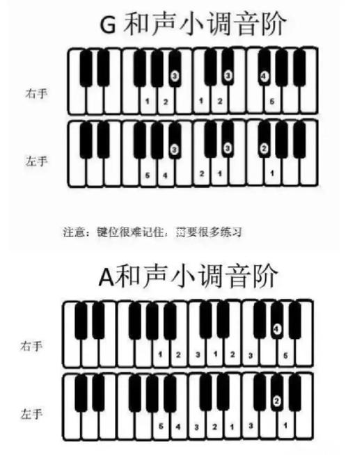 钢琴自学入门视频,新手能学会吗?-第1张图片-指南针培训网 钢琴自学入门视频,新手能学会吗?-第1张图片-指南针培训网