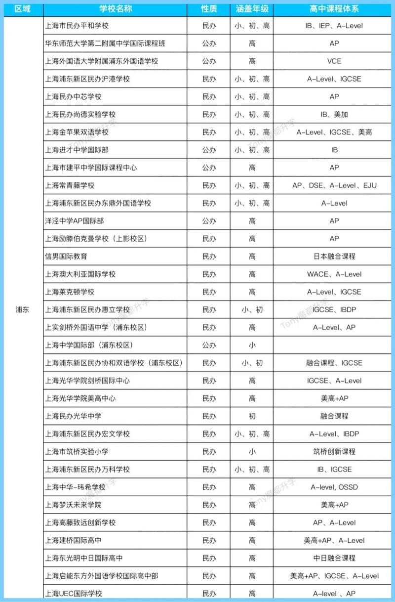 上海国际学校中文课程有何特色与优势?-第2张图片-指南针培训网 上海国际学校中文课程有何特色与优势?-第2张图片-指南针培训网