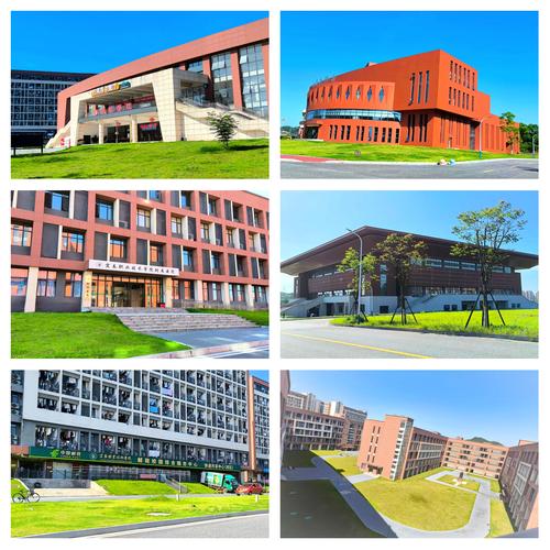 职业技术大学前景如何？-第3张图片-指南针培训网