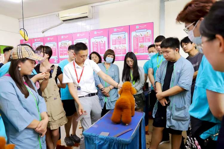 宠物美容培训课程该怎么选？-第2张图片-指南针培训网