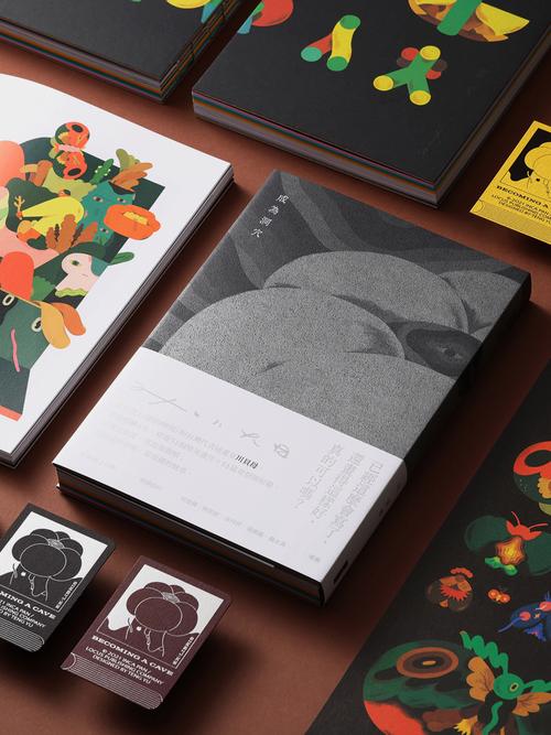 系列书籍装帧设计如何自学入门？-第3张图片-指南针培训网