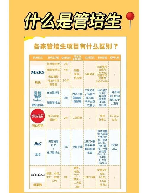 宝洁管培生发展路径如何?前景真的光明吗?-第2张图片-指南针培训网 宝洁管培生发展路径如何?前景真的光明吗?-第2张图片-指南针培训网