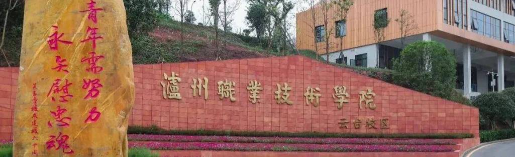 泸州职教如何发展？-第2张图片-指南针培训网