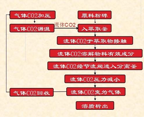 萃取师职业发展路径如何规划？-第2张图片-指南针培训网
