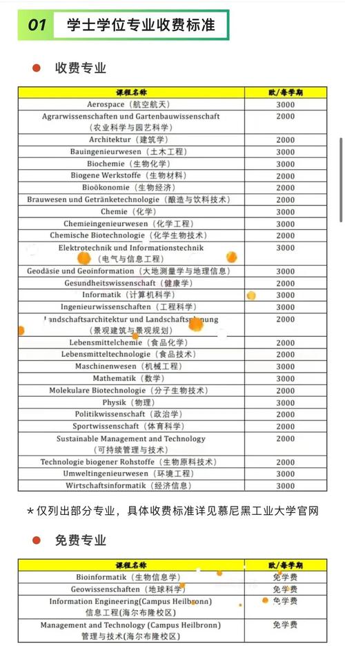 慕尼黑大学课程如何匹配我的背景与目标？-第3张图片-指南针培训网