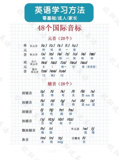 自学英语初级入门怎么学？-第2张图片-指南针培训网
