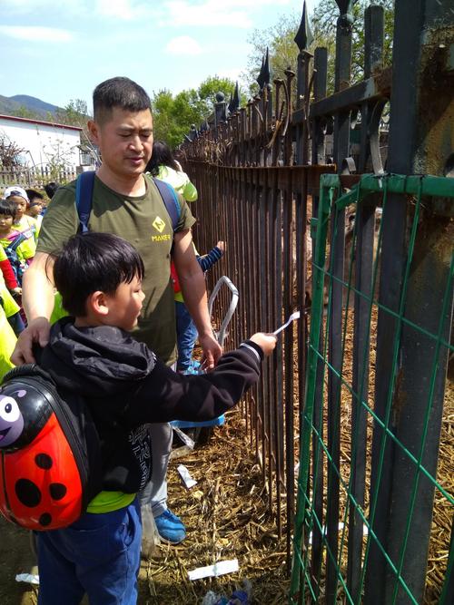 美克教育学前班究竟好不好？-第3张图片-指南针培训网