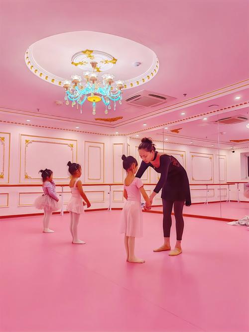 少儿自学舞蹈教学视频-第1张图片-指南针培训网