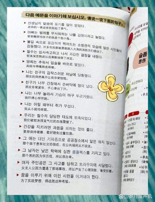 韩语入门自学书籍推荐-第3张图片-指南针培训网