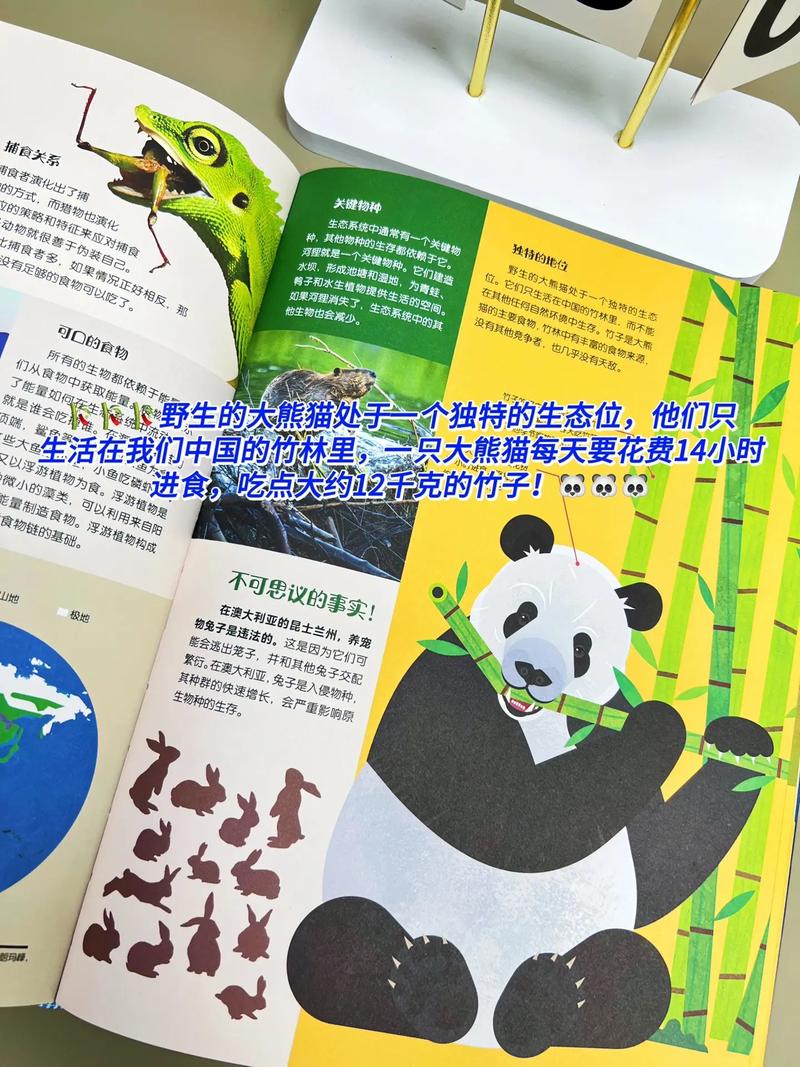 百科全书式 学前教育-第3张图片-指南针培训网