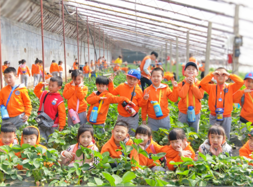 大连哪家学前班比较好-第2张图片-指南针培训网