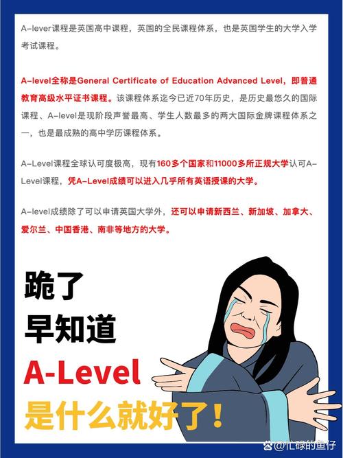 自学alevel课程-第2张图片-指南针培训网