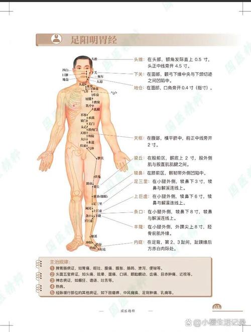 怎样快速自学针灸推拿-第2张图片-指南针培训网