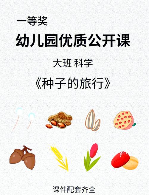 幼儿园科学课程有哪些-第1张图片-指南针培训网