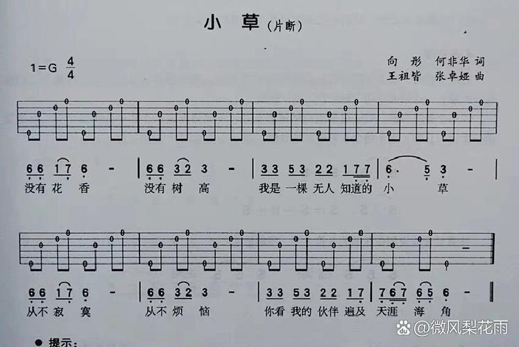 吉他自学一本通电子书-第2张图片-指南针培训网